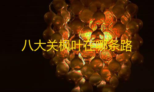 暗区突围开挂免费软件八大关枫叶在哪条路