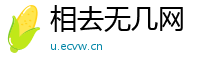 相去无几网
